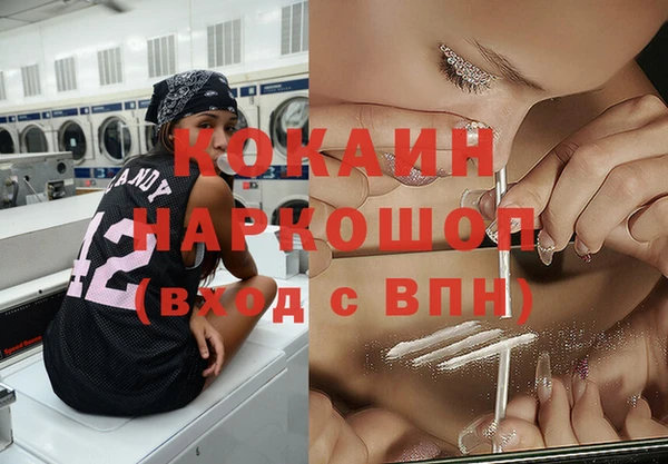 прущий лед Дмитриев