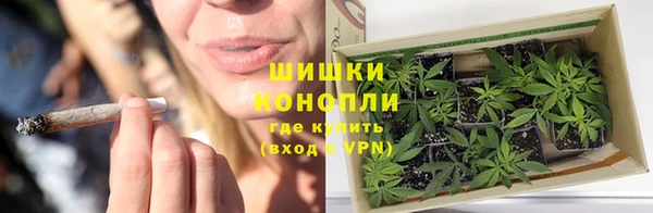 прущий лед Дмитриев