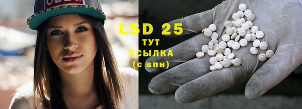 прущий лед Дмитриев
