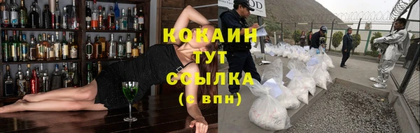 ПСИЛОЦИБИНОВЫЕ ГРИБЫ Аша