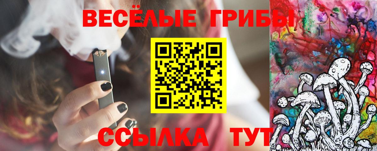 Псилоцибиновые грибы GOLDEN TEACHER Железноводск